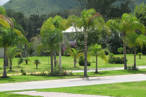 areas verdes - fraccionamiento casa fuerte residencial tlajomulco