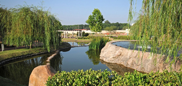 lagos y fuentes - la rioja residencial